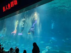 -福州罗源湾海洋世界旅游区