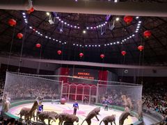 -西安秦岭野生动物园