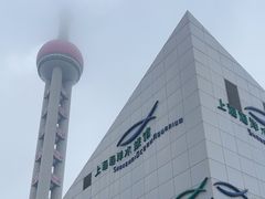 -上海海洋水族馆