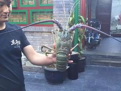 -顺承小院儿