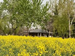 -汉长安城未央宫国家考古遗址公园