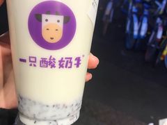 -一只酸奶牛(来福士店)