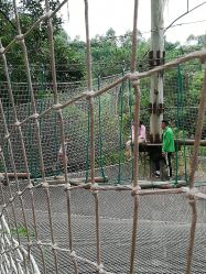 -成都飞越丛林探险乐园(锦绣城园区)
