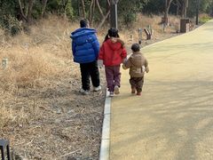 -河姆渡遗址博物馆