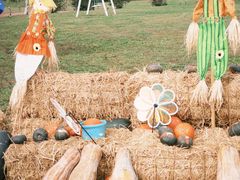 -圣露庄园·露营·烤肉·亲子