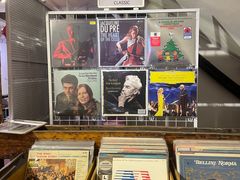 -树懒黑胶唱片店(中山路店)