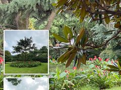 -虹迎轩·中餐厅(虹桥迎宾馆店)