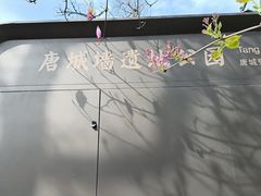 -唐城墙遗址公园