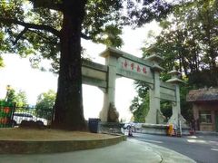 -内乡宝天曼生态旅游区