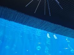-西安华夏文旅水世界