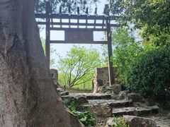-无锡蠡湖国家湿地公园-蠡园