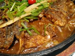 -老板恋上鱼(高新万达店)
