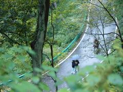 -老山国家森林公园