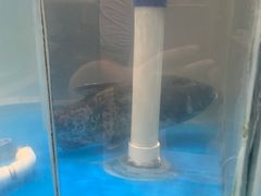 -渝味堂(彩云城店)