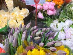-双季花艺园艺市场(浦东店)