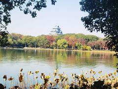 -金鸡湖桃花岛