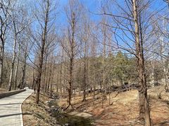 -白水寺森林公园