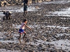 -南汇嘴观海公园