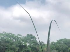 -木守西溪溪隐餐厅