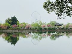-无锡蠡湖国家湿地公园-蠡园