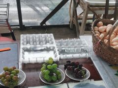 -马陆小张葡萄园农家乐