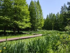 -溱湖国家湿地公园