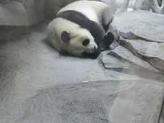 -宁波野生动物园