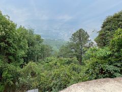 -火炉山森林公园