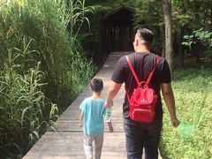 -溱湖国家湿地公园