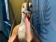 -国家自然博物馆