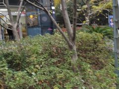 -海上海弘基休闲广场