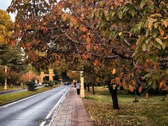 -河南省黄河迎宾馆