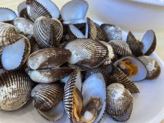 -锐记美食店·现捞海鲜(闸坡店)