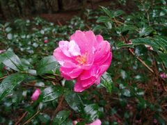 -溪口-滕头旅游景区