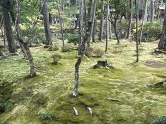 -西芳寺(苔寺)