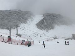 -太子岭滑雪场