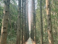 -同里国家湿地公园