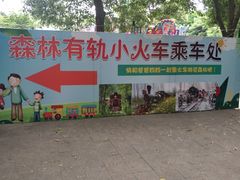 -合肥滨湖国家森林公园