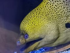 -正佳极地海洋世界
