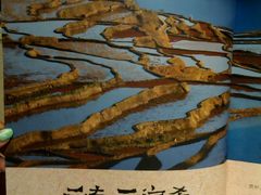 android_upload_pic-云海肴·汽锅鸡·云南菜(天津国金汇店)