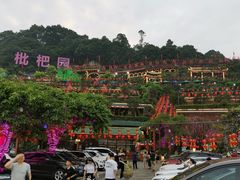 -枇杷园食为鲜火锅(南山店)
