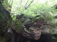 -汤旺河林海奇石景区