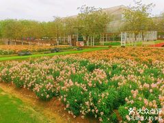 -盈香心动乐园