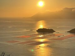 -花竹村