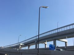 -吉祥格桑花开素食餐厅