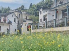 -新安江山水画廊风景区