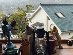 -马灯部落·西湖边的创意山景餐厅(虎跑动物园店)