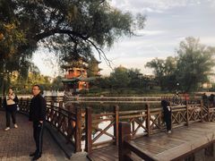 -迎泽公园