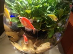 -澜悦汇推拿足道(蓝村路店)