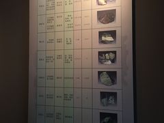 -荆州博物馆